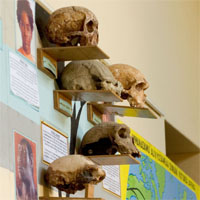 africaday11museum.jpg