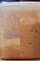 breaddough.jpg